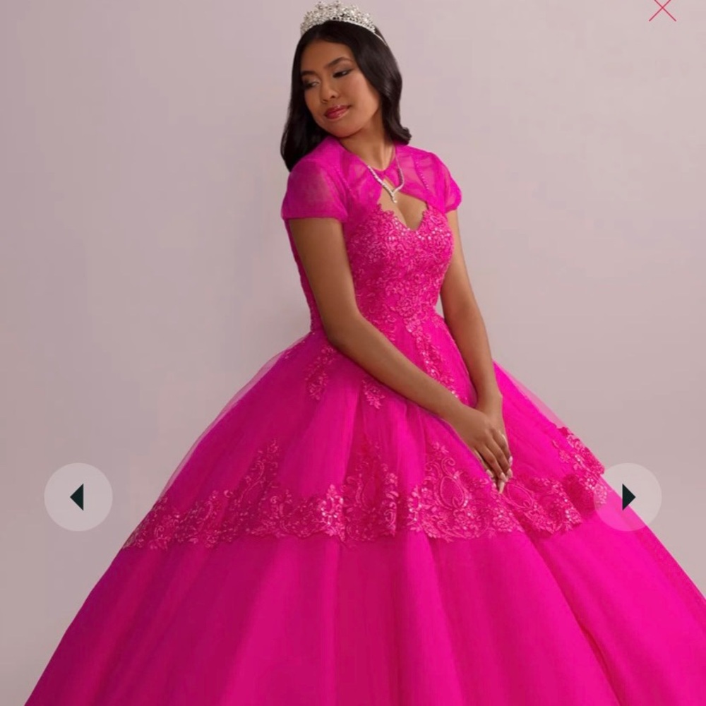 Fifteen Roses Dress